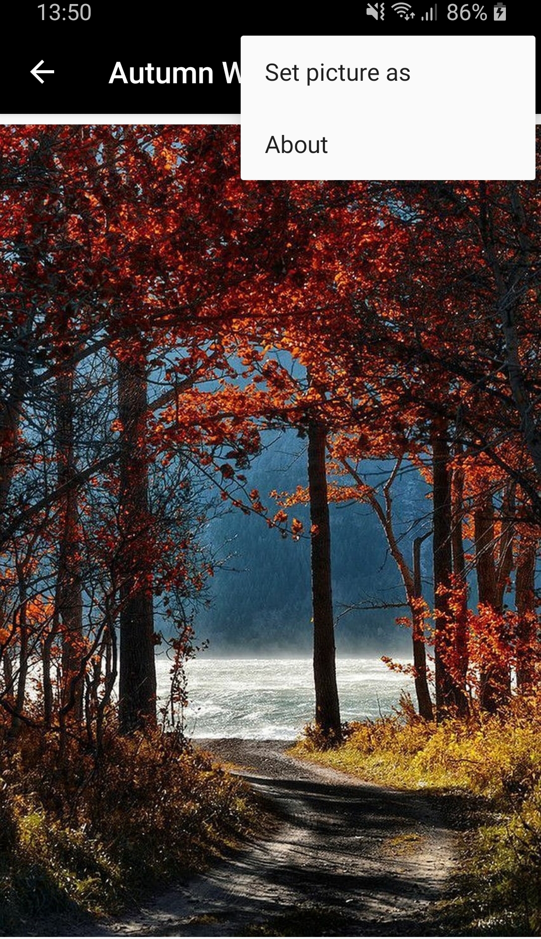 Screenshot_20200213-135028_Autumn wallpaper and Background.jpg