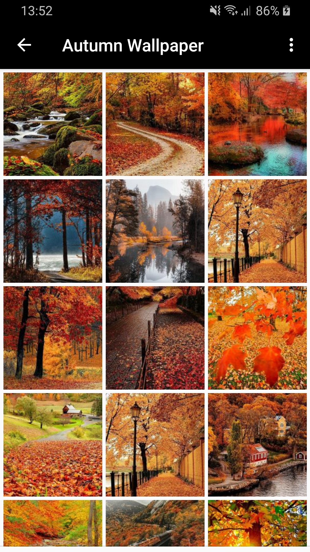 Screenshot_20200213-135302_Autumn wallpaper and Background.jpg